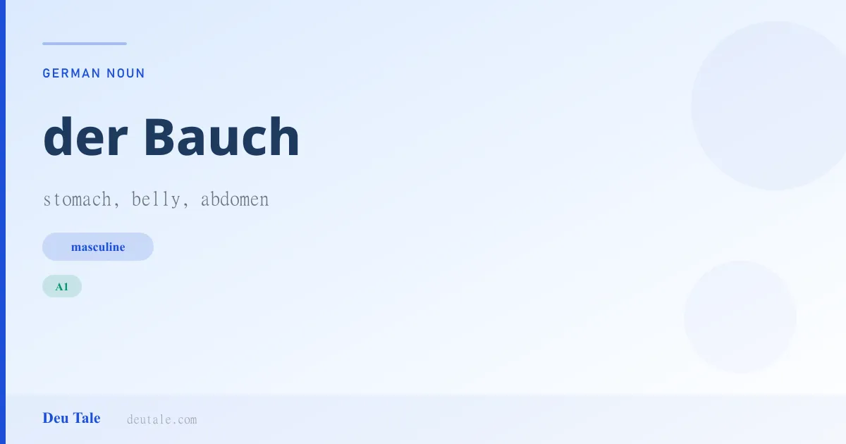 der Bauch — German masculine noun meaning stomach, belly, abdomen (A1)