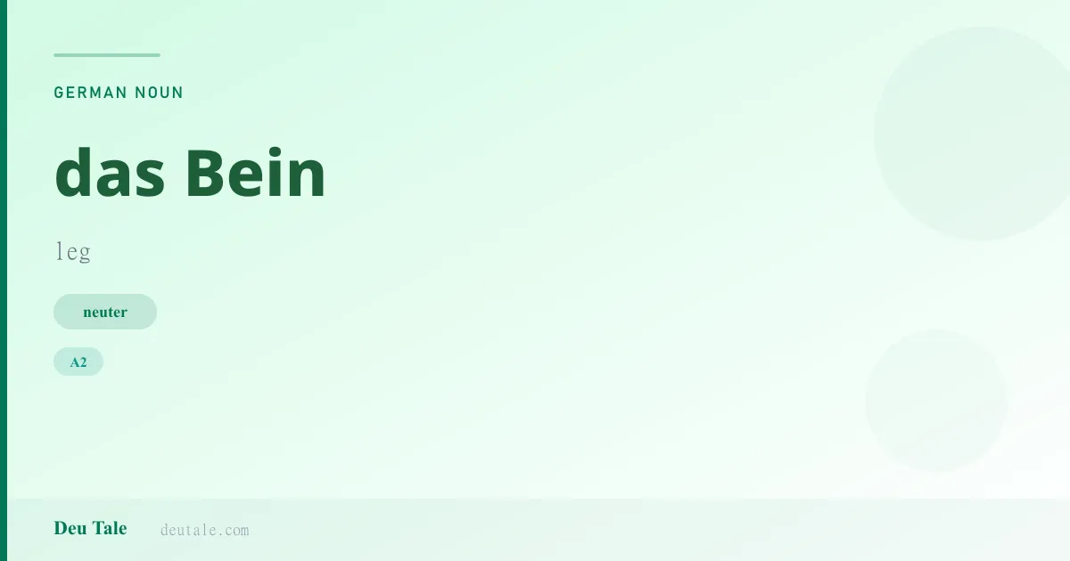 das Bein — German neuter noun meaning leg (A2)